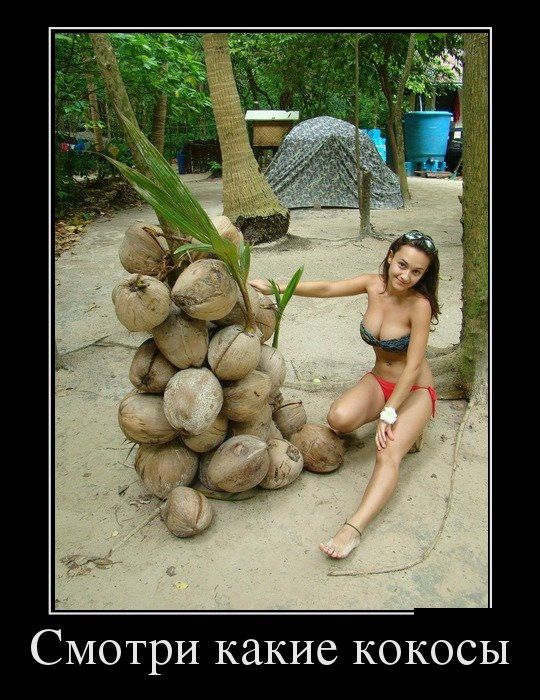 Смотри какие кокосы