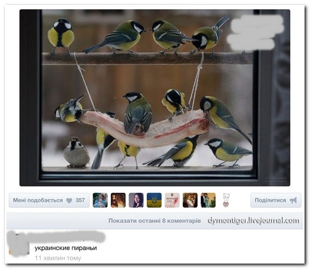 Украинские пираньи
