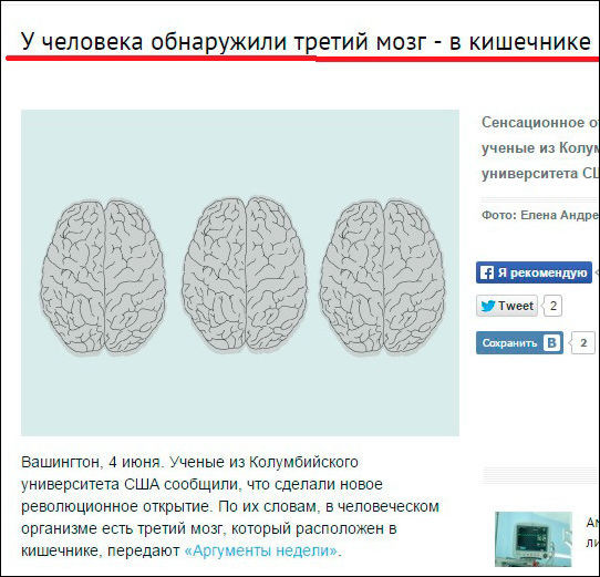 А где второй мозг