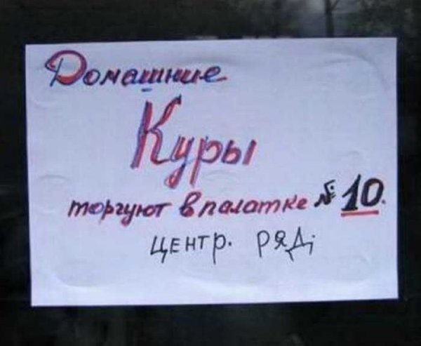 Домашние куры