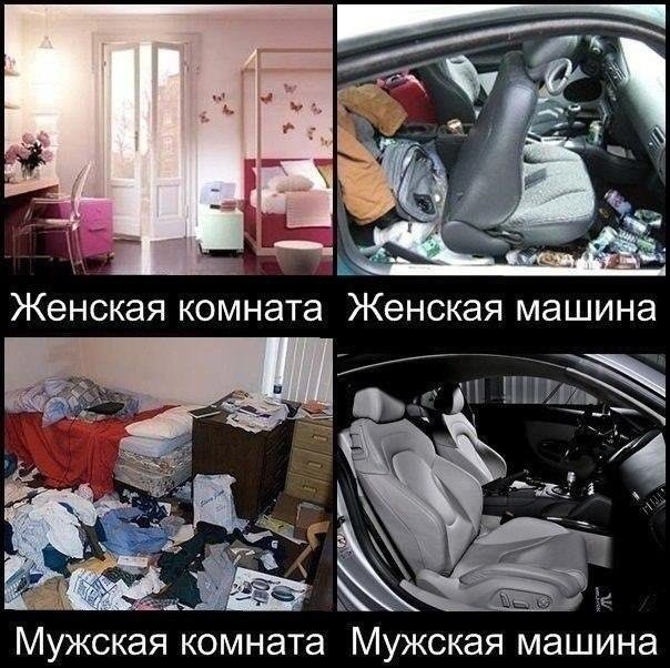 Как выглядит авто