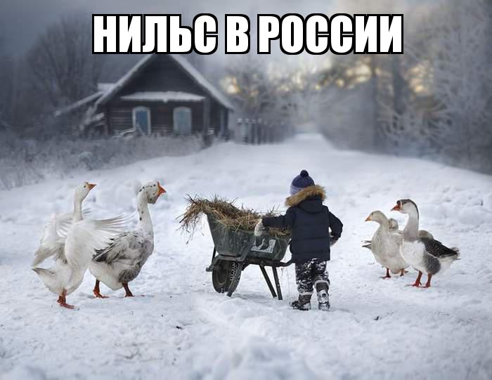 Нильс в России